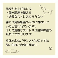 画像463