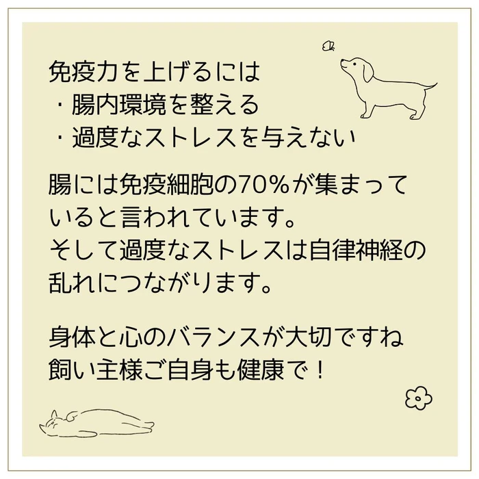 画像463