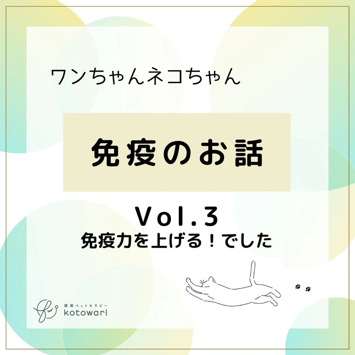 画像464