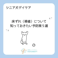画像466
