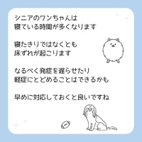 画像467