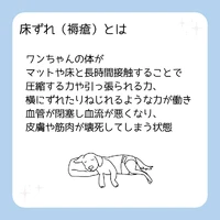画像468