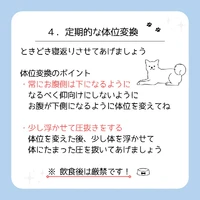 画像472