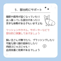 画像473