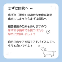 画像474