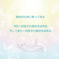 画像481