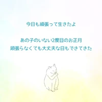 画像483