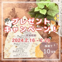 画像488