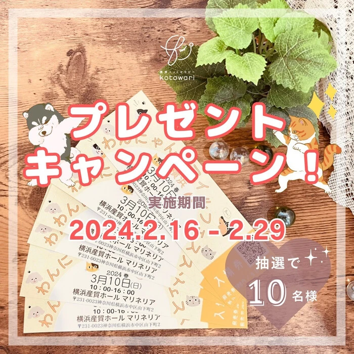 画像488