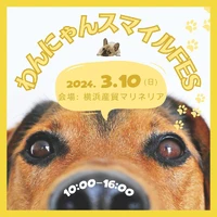 画像490