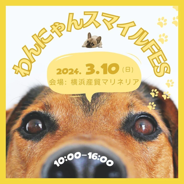 画像490