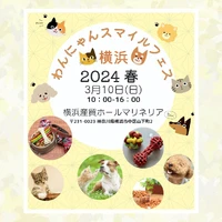 画像491