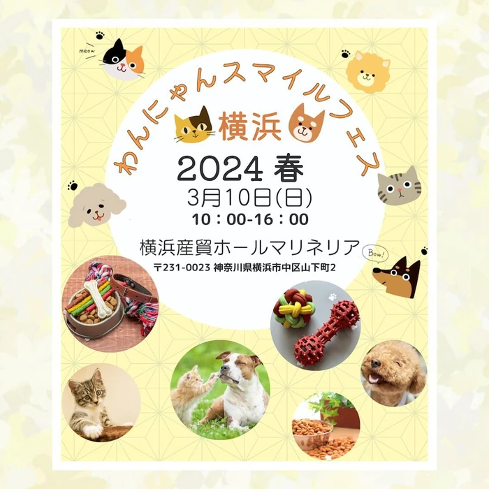 画像491