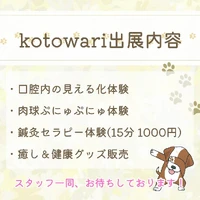 画像493