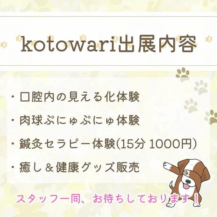 画像493