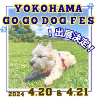 画像495
