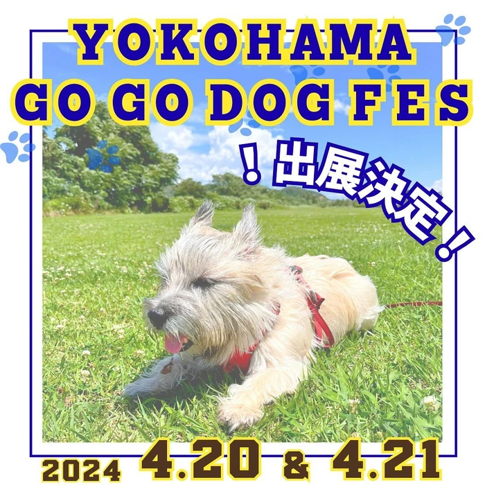 画像495